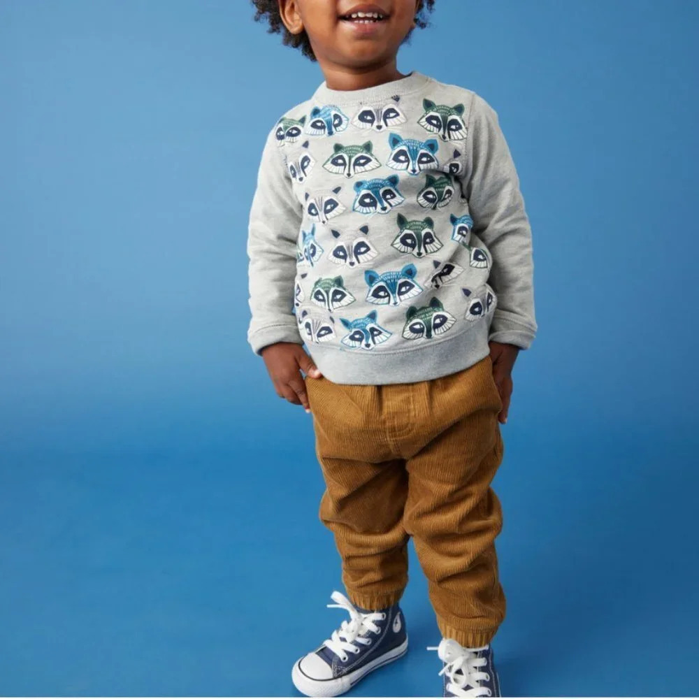 NWT Tea Raccoon Sweatshirt Size 3-6 Months